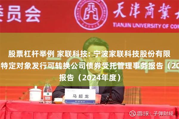 股票杠杆举例 家联科技: 宁波家联科技股份有限公司向不特定对象发行可转换公司债券受托管理事务报告（2024年度）