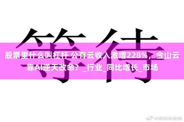 股票里什么叫杠杆 公有云收入激增228%，金山云靠AI逆天改命？_行业_同比增长_市场