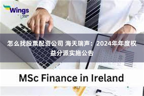 怎么找股票配资公司 海天瑞声：2024年年度权益分派实施公告