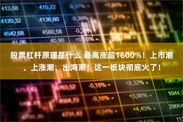 股票杠杆原理是什么 最高涨超1600%！上市潮、上涨潮、出海潮！这一板块彻底火了！