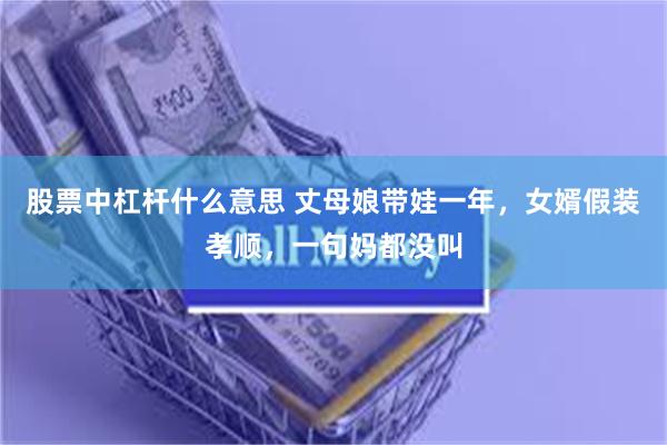 股票中杠杆什么意思 丈母娘带娃一年，女婿假装孝顺，一句妈都没叫